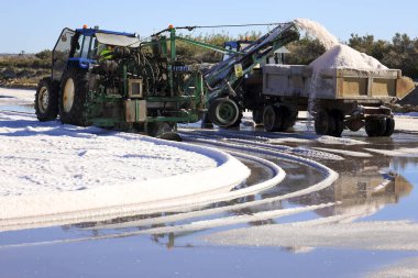 Santa Pola, Alicante, Spain- October 20, 2024: Harvesting and processing the salt in the Bonmati saltworks in Salta Pola town, Spain clipart