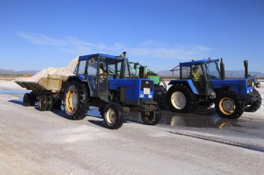 Santa Pola, Alicante, Spain- October 20, 2024: Harvesting and processing the salt in the Bonmati saltworks in Salta Pola town, Spain clipart