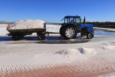 Santa Pola, Alicante, İspanya - 20 Ekim 2024: Salta Pola kasabasındaki Bonmati tuz fabrikasında tuz toplama ve işleme