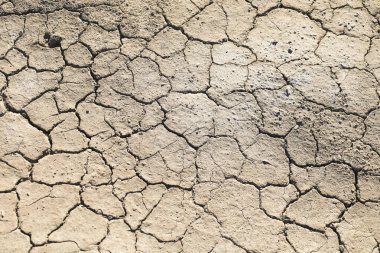 Kahverengi kurak ve çöl dokusu İspanya 'daki tarlaların kuraklığını gösteriyor.