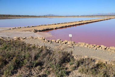 Santa Pola 'nın doğal parkı Alicante, İspanya' nın Pembe Göl Fabrikası 'ndaki hendekleri kiralamak.