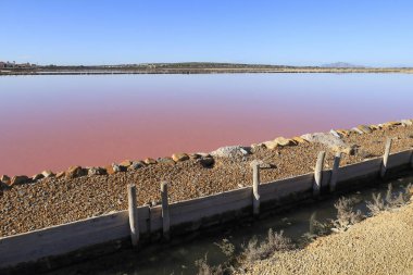 Santa Pola 'nın doğal parkı Alicante, İspanya' nın Pembe Göl Fabrikası 'ndaki hendekleri kiralamak.