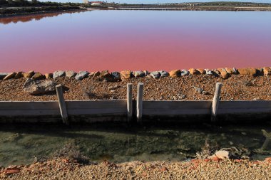 Santa Pola 'nın doğal parkı Alicante, İspanya' nın Pembe Göl Fabrikası 'ndaki hendekleri kiralamak.