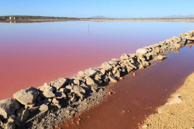 Santa Pola 'nın doğal parkı Alicante, İspanya' nın Pembe Göl Fabrikası 'ndaki hendekleri kiralamak.