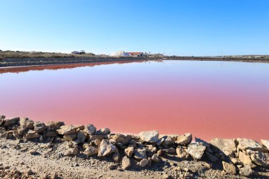 Santa Pola 'nın doğal parkı Alicante, İspanya' nın Pembe Göl Fabrikası 'ndaki hendekleri kiralamak.