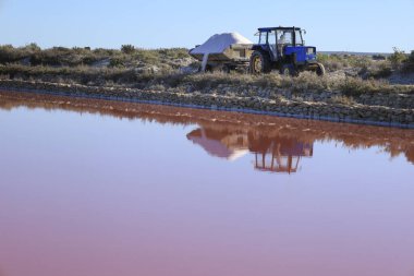 Santa Pola, Alicante, İspanya - 20 Ekim 2024: Salta Pola kasabasındaki Bonmati tuz fabrikasında tuz toplama ve işleme