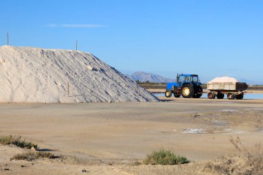 Santa Pola, Alicante, İspanya - 20 Ekim 2024: Salta Pola kasabasındaki Bonmati tuz fabrikasında tuz toplama ve işleme