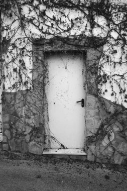 Kuru bitki örtüsüyle kaplı taş duvarlı eski evin ön cephesi.