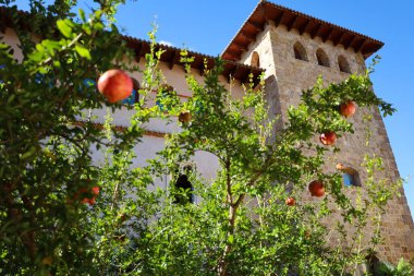 Anna, Valencia, İspanya... 27 Ekim 2024: Anna, Valencia 'daki Cervellon Kontlarının Kale-Sarayı Bahçesi