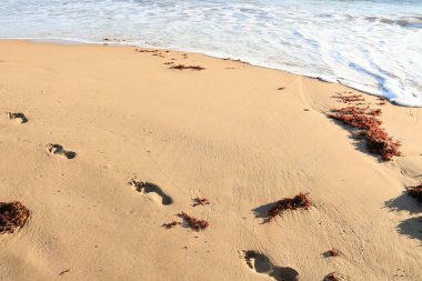 İspanya 'nın güneyinde, Arenales del Sol' da, güneşin doğuşunda kumdaki ayak izleri.