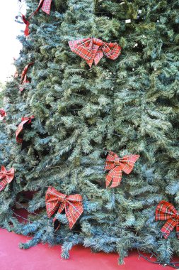 İspanya 'nın Elche şehrinde süslemeli Noel ağacı