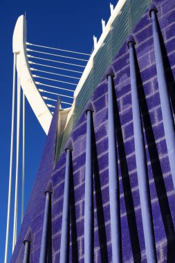 Valencia, İspanya... 27 Aralık 2024 Caixaforum binasının mimari detayları. Santiago Calatrava tarafından tasarlanan Sanat ve Bilim Şehri 'nde bir kültür merkezi ve müze. Arka planda Azud del Oro köprüsü