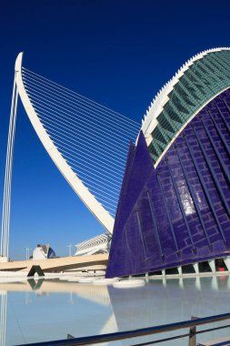 Valencia, İspanya... 27 Aralık 2024 Caixaforum binasının mimari detayları. Santiago Calatrava tarafından tasarlanan Sanat ve Bilim Şehri 'nde bir kültür merkezi ve müze. Arka planda Azud del Oro köprüsü