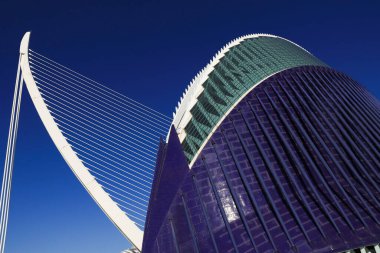 Valencia, İspanya... 27 Aralık 2024 Caixaforum binasının mimari detayları. Santiago Calatrava tarafından tasarlanan Sanat ve Bilim Şehri 'nde bir kültür merkezi ve müze. Arka planda Azud del Oro köprüsü