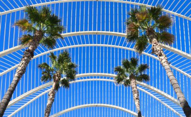 Valencia, İspanya 27 Aralık 2024 Valencia City, İspanya 'daki Umbracle' ın mimari detayları.