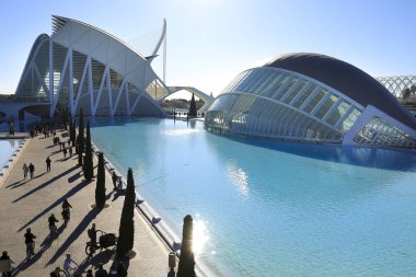 Valencia, İspanya - 27 Aralık 2024 Valencia şehrinin güneşli bir günde güzel bir sanat ve bilim manzarası