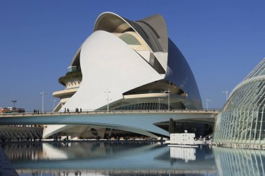 Valencia, İspanya - 27 Aralık 2024: Valencia Sanat Şehri 'ndeki opera binası Palacio de las Artes Reina Sofia' nın mimari detayları