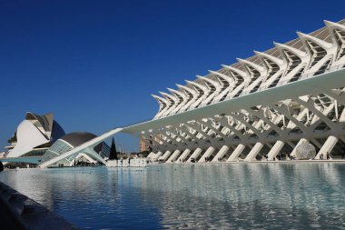 Valencia, İspanya - 27 Aralık 2024 Valencia şehrinin güneşli bir günde güzel bir sanat ve bilim manzarası