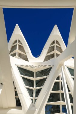Valencia, İspanya - 27 Aralık 2024 Valencia City 'deki Bilim Müzesi Principe Felipe binasının mimari detayları
