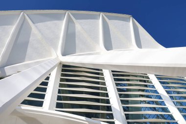 Valencia, İspanya - 27 Aralık 2024 Valencia City 'deki Bilim Müzesi Principe Felipe binasının mimari detayları