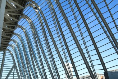 Valencia, İspanya - 27 Aralık 2024 Valencia City 'deki Bilim Müzesi Principe Felipe binasının mimari detayları