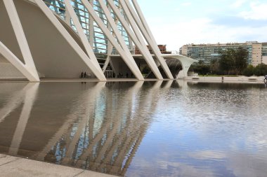 Valencia, İspanya - 27 Aralık 2024 Valencia City 'deki Bilim Müzesi Principe Felipe binasının mimari detayları