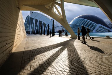 Valencia, İspanya - 27 Aralık 2024 Valencia şehrinin bulutlu bir günde güzel bir sanat ve bilim manzarası