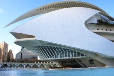 Valencia, İspanya - 27 Aralık 2024: Valencia Sanat Şehri 'ndeki opera binası Palacio de las Artes Reina Sofia' nın mimari detayları
