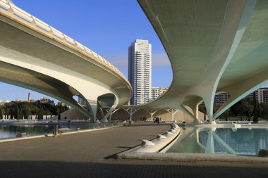 Valencia, İspanya - 27 Aralık 2024 Santiago Calatrava tarafından tasarlanan Sanat ve Bilim Şehri 'ndeki Monteolivete köprüsünün mimari detayları.