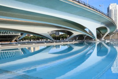 Valencia, İspanya - 27 Aralık 2024 Santiago Calatrava tarafından tasarlanan Sanat ve Bilim Şehri 'ndeki Monteolivete köprüsünün mimari detayları.