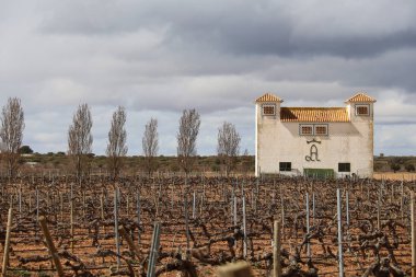 Chinchilla de Montearagon, Albacete, Castilla La Mancha, İspanya... 23 Mart 2025: Mahzen Finca los Aljibes, üzüm bağlarıyla çevrili rahat bir kır evi.