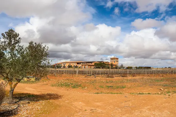 Chinchilla de Montearagon, Albacete, Castilla La Mancha, İspanya... 23 Mart 2025: Mahzen Finca los Aljibes, üzüm bağlarıyla çevrili rahat bir kır evi.