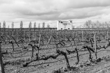 Chinchilla de Montearagon, Albacete, Castilla La Mancha, İspanya... 23 Mart 2025: Mahzen Finca los Aljibes, üzüm bağlarıyla çevrili rahat bir kır evi.