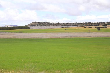 İspanya 'nın Kastilya La Mancha bölgesinde kırmızı kil toprak renkli tarlalar