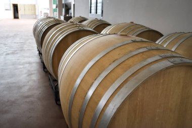 Castilla la la Mancha bölgesinde bir İspanyol mahzeninde meşe fıçıları.