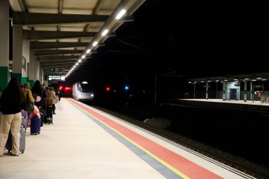 Elche, Alicante, İspanya... 5 Nisan 2025: Elche 'deki Yüksek Hız Tren İstasyonu