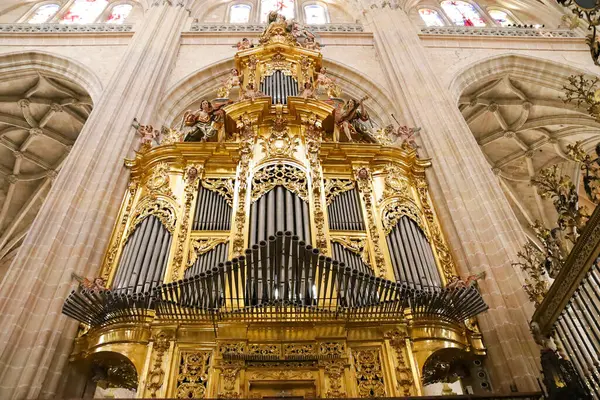 Segovia, Castilla y Leon, İspanya - 5 Nisan 2025: Segovia Katedrali 'nin güzel kuzey tarafı orgu