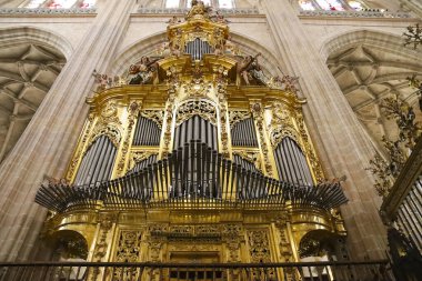 Segovia, Castilla y Leon, İspanya - 5 Nisan 2025: Segovia Katedrali 'nin güzel kuzey tarafı orgu