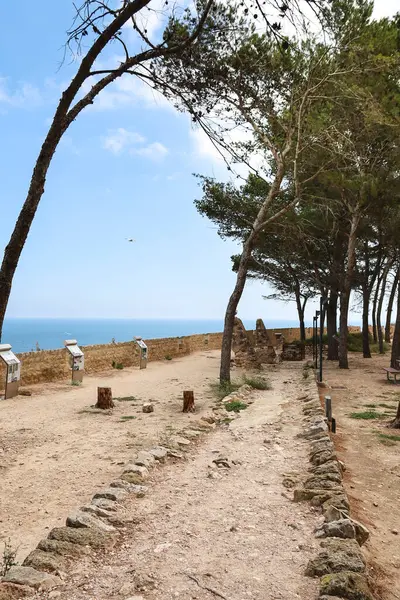 Denia, Alicante, İspanya... 18 Mayıs 2025: Denia Kalesi 'nde, şehrin göbeğindeki yumuşak bir tepede yer alan görüş açısı.