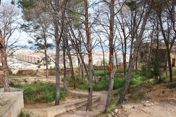 Denia, Alicante, İspanya... 18 Mayıs 2025, Denia Şatosu, şehrin göbeğindeki yumuşak bir tepenin üzerinde yer alıyor.