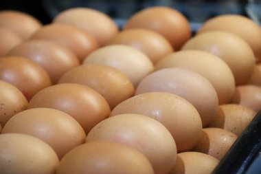 İspanya 'da bir markette satılık taze kahverengi yumurta.