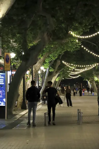 Denia, Alicante, İspanya - 18 Mayıs 2025: Marques de Campo Caddesi, Denia 'nın tarihi merkezinde gece vakti