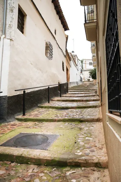 Alcaraz kasabası, Albacete, İspanya 'da tarihi evleri olan dar bir sokak.