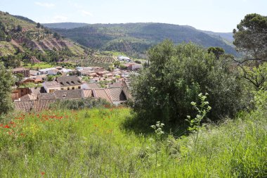 Alcaraz kasabası, Albacete, İspanya Dağlarla çevrili yeşil çayırlar zeytin ağaçları ve kırmızı gelinciklerle