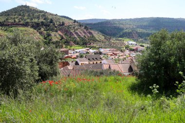 Alcaraz kasabası, Albacete, İspanya Dağlarla çevrili yeşil çayırlar zeytin ağaçları ve kırmızı gelinciklerle