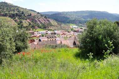 Alcaraz kasabası, Albacete, İspanya Dağlarla çevrili yeşil çayırlar zeytin ağaçları ve kırmızı gelinciklerle