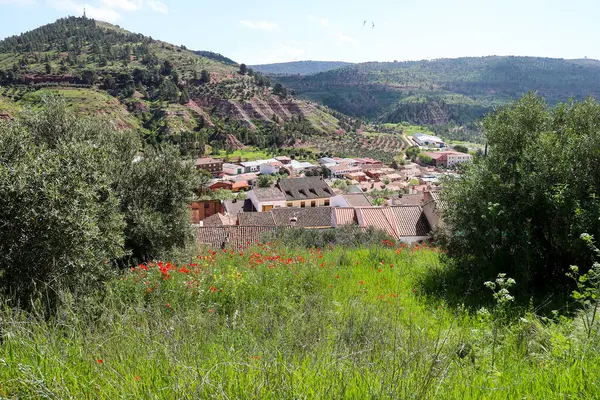 Alcaraz kasabası, Albacete, İspanya Dağlarla çevrili yeşil çayırlar zeytin ağaçları ve kırmızı gelinciklerle