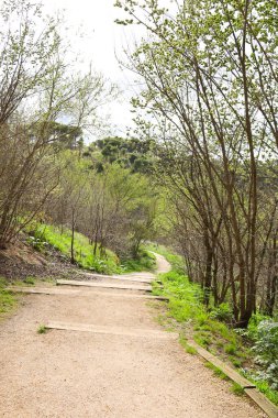 İspanya 'nın Segovia şehrindeki Eresma nehrinin yanındaki bitki örtüsüyle çevrili yol.