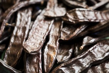 Keçi keçiboynuzu arka planı. Keçiboynuzu ağacının meyvesi, Ceratonia Siliqua