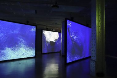 Madrid, İspanya - 13 Ağustos 2025: Madrid 'deki Telefonica binasının içindeki Okyanus Sergisi Yankıları